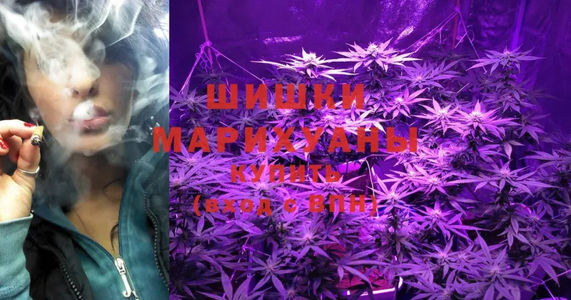 мега   Электрогорск  Марихуана White Widow 